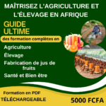 MAÎTRISEZ L'AGRICULTURE ET L'ÉLEVAGE EN AFRIQUE 🌍