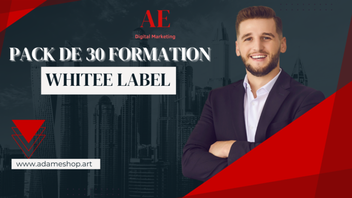 35 FORMATIONS SUR LE BUSINESS EN LIGNE