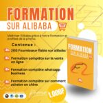 FORMATION SUR ALIBABA